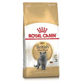 Royal Canin Breed British Shorthair 10kg