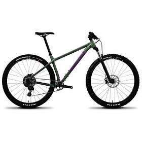 Santa Cruz Chameleon D