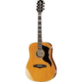 Eko Guitars Ranger VR VI
