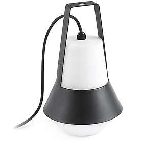 Faro Cat