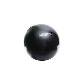 Blackroll Gym Ball 65cm
