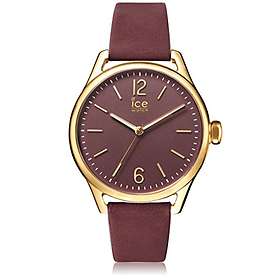 ICE Watch 013076
