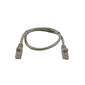 Cat6
