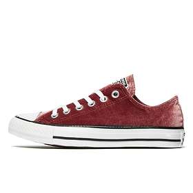 Converse Chuck Taylor All Star Velvet Low Top (Unisex) Best Price | Compare  deals at PriceSpy UK