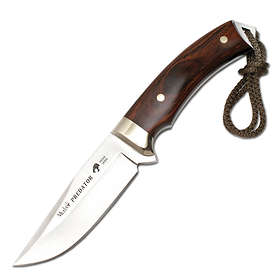 Muela of Spain Predator