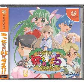 Netto de Para (JPN) (DC)