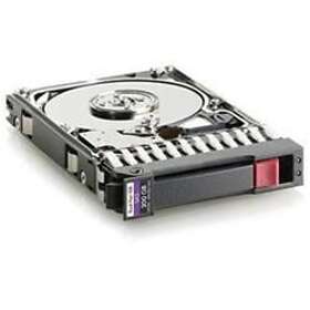 HP RP001233464 300GB