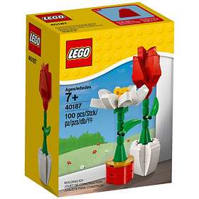 LEGO Miscellaneous 40187 Flower Display
