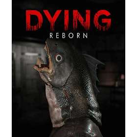 Dying: Reborn (PC)