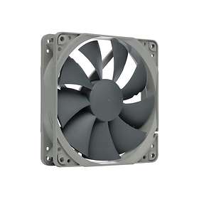 Noctua