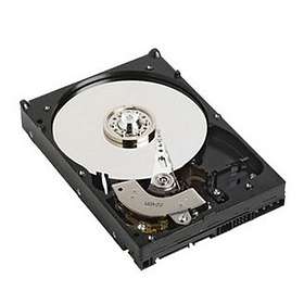 Dell R7FKF 2TB