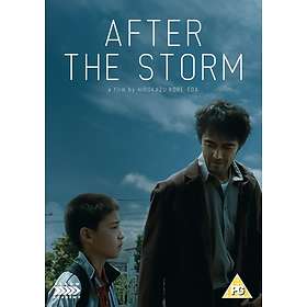After the Storm (UK) (DVD)