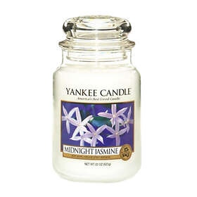 Yankee Candle Large Jar Midnight Jasmine