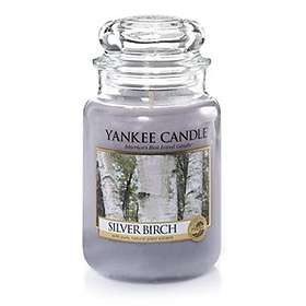 Yankee Candle Silver Birch Large Jar