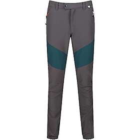 Regatta Mountain Active Stretch Pants (Herr)