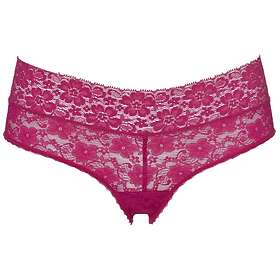 Triumph Lace Hipster