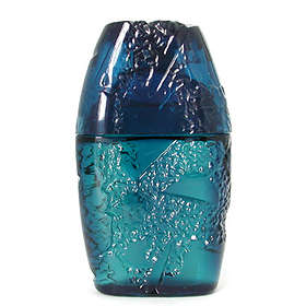 Guy Laroche Horizon edt 100ml