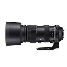 Sigma 60-600/4,5-6,3 DG OS HSM Sports for Nikon