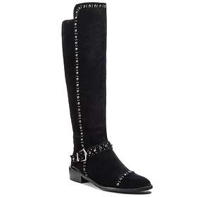 Alma en Pena I18316 (Dame)