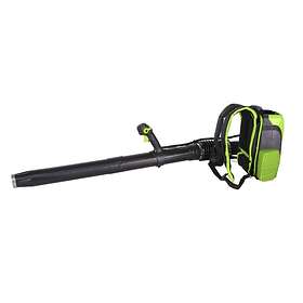 Greenworks GD60BPBK4