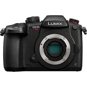 Panasonic Lumix GH5s + 200/2,8