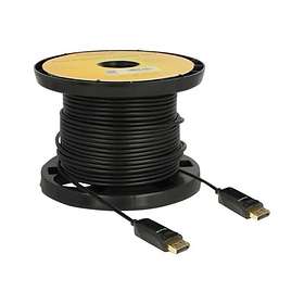 DeLock Active Optical 21,6Gbps DisplayPort - DisplayPort (with latches) 40m