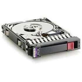 HP RP001227571 300GB