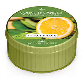 Country Candle Daylight Tuoksukynttilät Citrus & Sage
