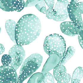 Midbec Cactus (138901)