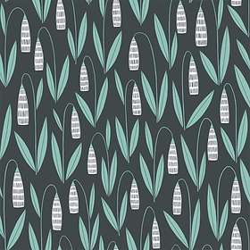 Midbec Seven Sisters (MISP1274)