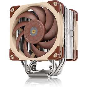 Noctua