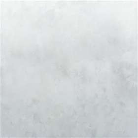 Designers Guild Foscari Fresco Tourangelle Ombre Zinc (PDG1101/01)