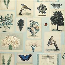 Designers Guild Picture Book Flora And Fauna Cloud Blue (PJD6001/02)
