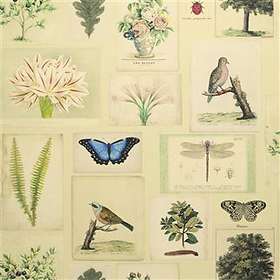 Designers Guild Picture Book Flora And Fauna Parchment (PJD6001/01)