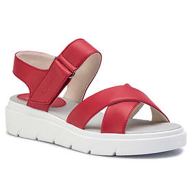 Geox Tamas D92DLE (Women's)