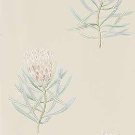 Sanderson Protea Flower Russet Green (216329)