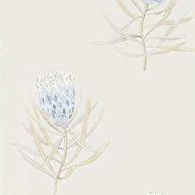 Sanderson Protea Flower China Blue Canvas (216327)