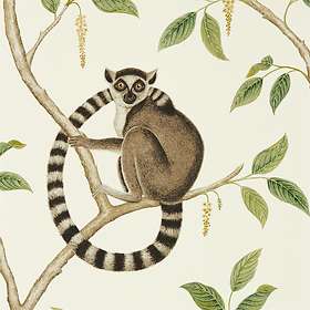Sanderson Ringtailed Lemur Cream Olive (216664)