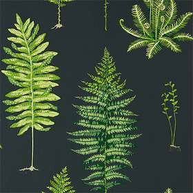 Sanderson Fernery Botanical Green Charcoal (216634)