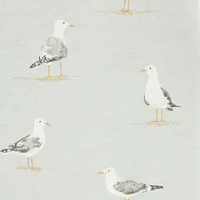Sanderson Shore Birds Gull (216565)