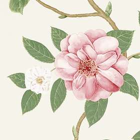 Sanderson Christabel Coral Ivroy (DVOY213374)