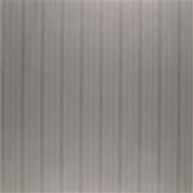 Ralph Lauren Trevor Stripe Stainless Steel (PRL5014-03)