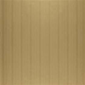 Ralph Lauren Trevor Stripe Gold (PRL5014-02)