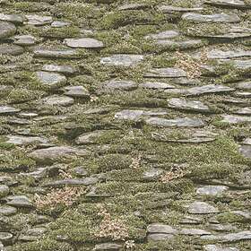 Galerie Evergreen Collection (7336)