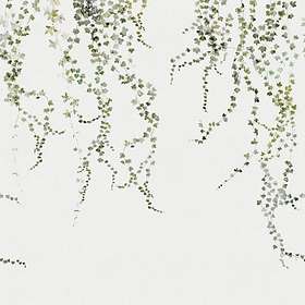 Sandberg Wallpaper Arboretum Aralia (640-04)