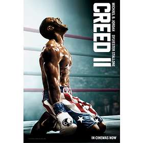 Creed II (DVD)