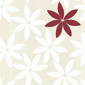 Decor Maison Nature (3508)