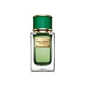 Dolce & Gabbana Velvet Cypress edp 150ml