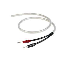 Chord Shawline X 2Banana - 2Banana (par) 2m