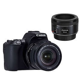 Canon EOS 250D + 18-55/4,0-5,6 IS STM + 50/1,8 STM